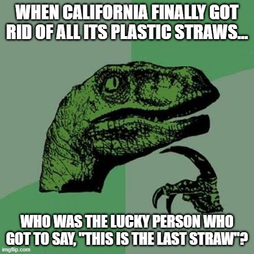 Strawman 3 | WHEN CALIFORNIA FINALLY GOT RID OF ALL ITS PLASTIC STRAWS... WHO WAS THE LUCKY PERSON WHO GOT TO SAY, "THIS IS THE LAST STRAW"? | image tagged in memes,philosoraptor,humor,california,plastic straws,deep thoughts | made w/ Imgflip meme maker