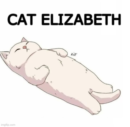 CAT ELIZABETH | image tagged in cat,dead memes,queen elizabeth,the queen elizabeth ii,the queen,lizard | made w/ Imgflip meme maker
