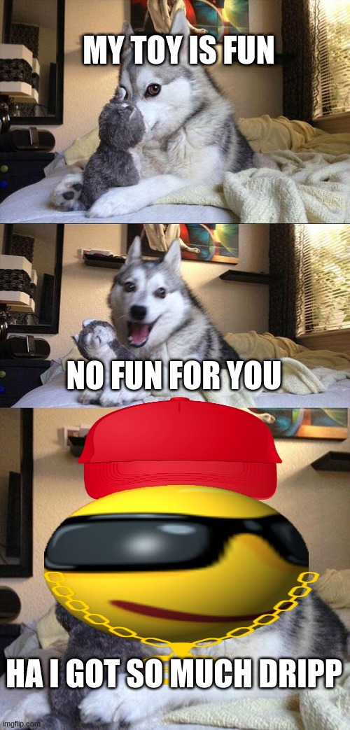 Bad Pun Dog |  MY TOY IS FUN; NO FUN FOR YOU; HA I GOT SO MUCH DRIPP | image tagged in dank memes,funny dogs | made w/ Imgflip meme maker