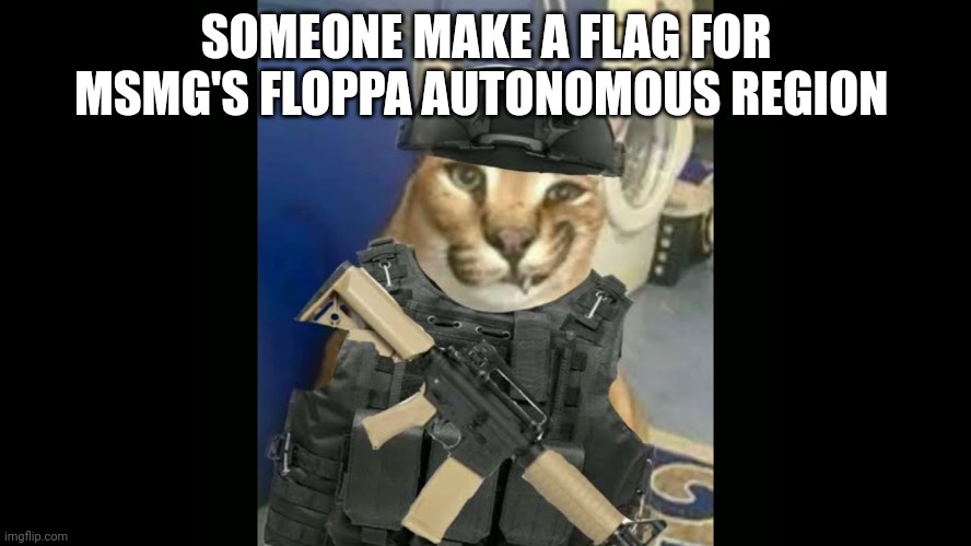 Floppa Military Annoucment | SOMEONE MAKE A FLAG FOR MSMG'S FLOPPA AUTONOMOUS REGION | image tagged in floppa military annoucment | made w/ Imgflip meme maker