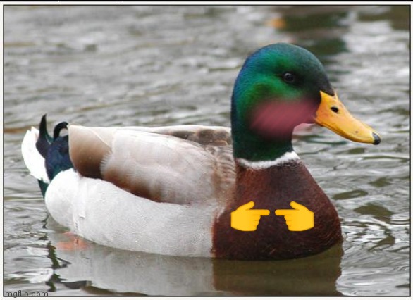 Actual Advice Mallard Meme | ?? | image tagged in memes,actual advice mallard | made w/ Imgflip meme maker