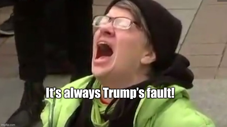 Screaming Liberal  | It’s always Trump’s fault! | image tagged in screaming liberal | made w/ Imgflip meme maker