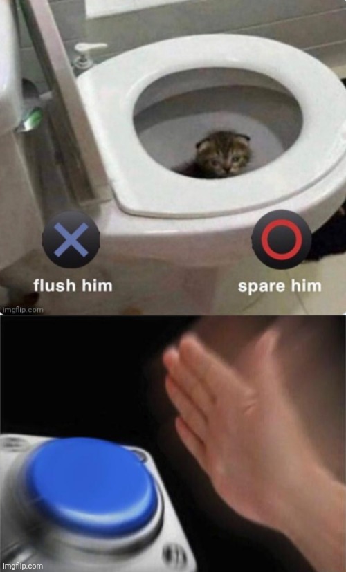 Flush goes the toilet | image tagged in memes,blank nut button,dark humor,toilet,scared cat | made w/ Imgflip meme maker