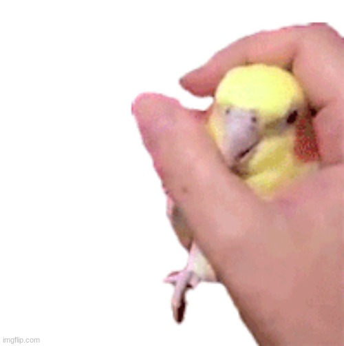 choke | made w/ Imgflip meme maker