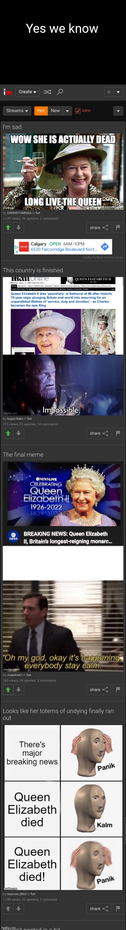 Yes I Get the hint | Yes we know | image tagged in queen elizabeth,imgflip | made w/ Imgflip meme maker