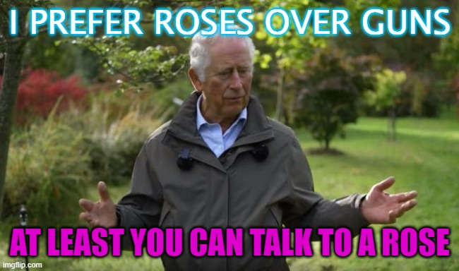 I prefer roses over guns; At least you can talk to a rose | I PREFER ROSES OVER GUNS; AT LEAST YOU CAN TALK TO A ROSE | image tagged in prince charles | made w/ Imgflip meme maker