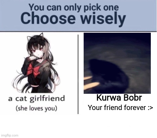 Choose wisely | Kurwa Bobr; Your friend forever :> | image tagged in choose wisely | made w/ Imgflip meme maker