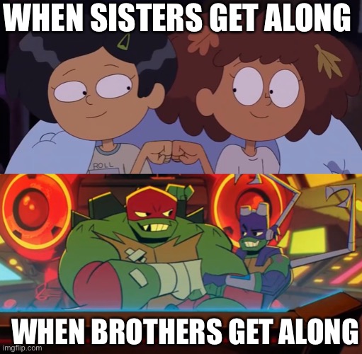 An Amphibia and ROTTMNT meme | WHEN SISTERS GET ALONG; WHEN BROTHERS GET ALONG | image tagged in amphibia,tmnt,teenage mutant ninja turtles,fist bump,brothers,friendship | made w/ Imgflip meme maker