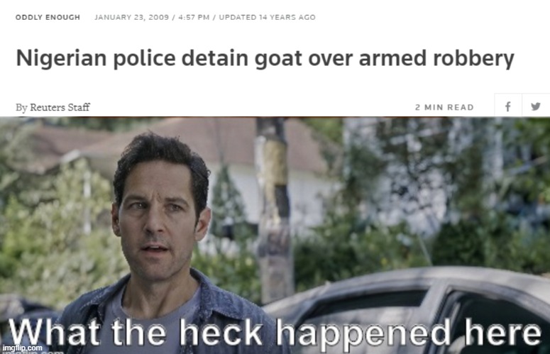Goat | image tagged in antman what the heck happened here | made w/ Imgflip meme maker