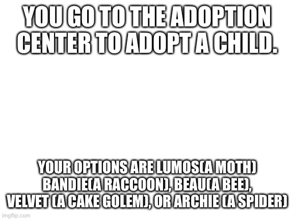Blank White Template | YOU GO TO THE ADOPTION CENTER TO ADOPT A CHILD. YOUR OPTIONS ARE LUMOS(A MOTH) BANDIE(A RACCOON), BEAU(A BEE), VELVET (A CAKE GOLEM), OR ARCHIE (A SPIDER) | image tagged in blank white template | made w/ Imgflip meme maker