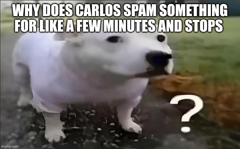 It's confusing | WHY DOES CARLOS SPAM SOMETHING FOR LIKE A FEW MINUTES AND STOPS | image tagged in huh dog | made w/ Imgflip meme maker
