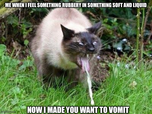 Cat Barfing | ME WHEN I FEEL SOMETHING RUBBERY IN SOMETHING SOFT AND LIQUID NOW I MADE YOU WANT TO VOMIT | image tagged in cat barfing | made w/ Imgflip meme maker