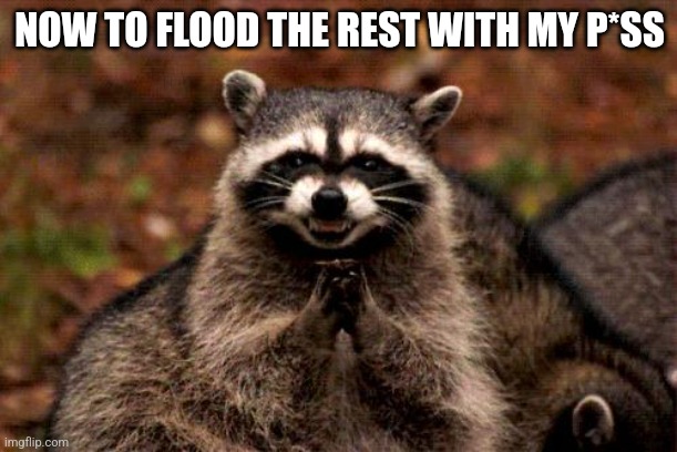 Evil Plotting Raccoon Meme | NOW TO FLOOD THE REST WITH MY P*SS | image tagged in memes,evil plotting raccoon | made w/ Imgflip meme maker