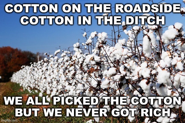 Cotton Field | COTTON ON THE ROADSIDE
COTTON IN THE DITCH WE ALL PICKED THE COTTON
BUT WE NEVER GOT RICH | image tagged in cotton field | made w/ Imgflip meme maker