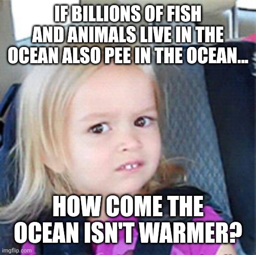 Confused Little Girl | IF BILLIONS OF FISH AND ANIMALS LIVE IN THE OCEAN ALSO PEE IN THE OCEAN... HOW COME THE OCEAN ISN'T WARMER? | image tagged in confused little girl | made w/ Imgflip meme maker