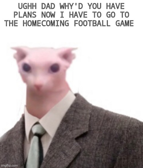 bingus | UGHH DAD WHY'D YOU HAVE PLANS NOW I HAVE TO GO TO THE HOMECOMING FOOTBALL GAME | image tagged in bingus | made w/ Imgflip meme maker