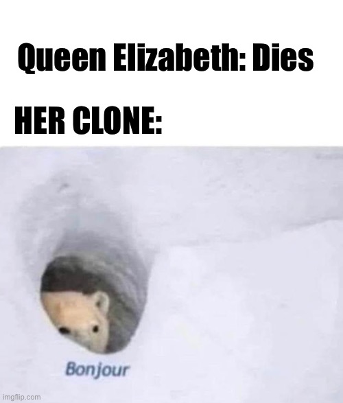 I know what those Brit’s are up to | Queen Elizabeth: Dies; HER CLONE: | image tagged in bonjour,britain,queen elizabeth | made w/ Imgflip meme maker