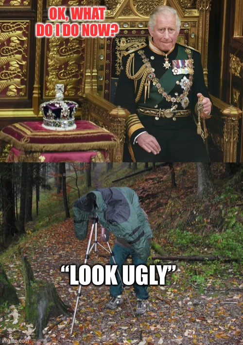 OK, WHAT DO I DO NOW? “LOOK UGLY” | image tagged in king charles iii,sean the cameraman | made w/ Imgflip meme maker