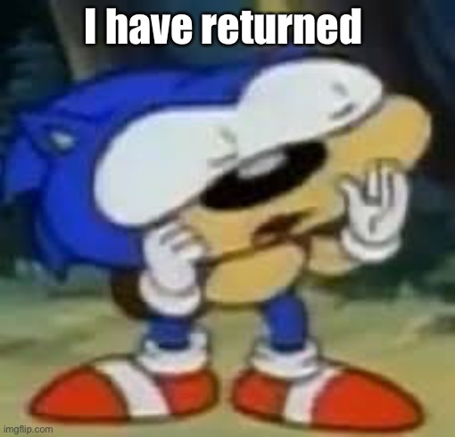 sonic huh? | I have returned | image tagged in sonic huh | made w/ Imgflip meme maker