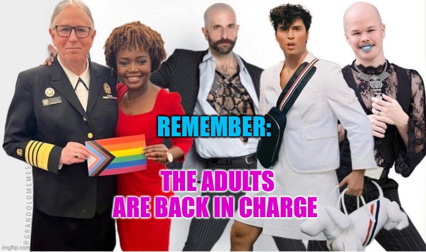 The Adults | THE ADULTS ARE BACK IN CHARGE; REMEMBER: | image tagged in joe biden,government | made w/ Imgflip meme maker