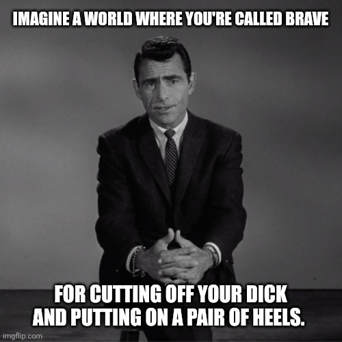 This is the world we live in. | IMAGINE A WORLD WHERE YOU'RE CALLED BRAVE; FOR CUTTING OFF YOUR DICK AND PUTTING ON A PAIR OF HEELS. | image tagged in imagine if you will | made w/ Imgflip meme maker