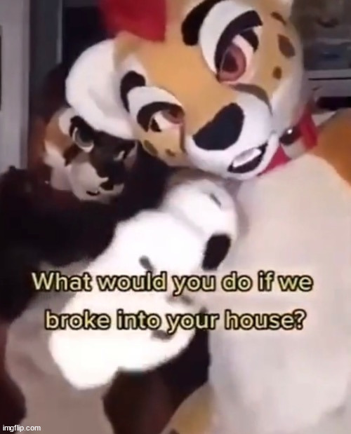 what would you do if these fatherless idiots broke into ur house(i would kill them or myself) | image tagged in what would you do if some fatherless furries broke into ur home | made w/ Imgflip meme maker