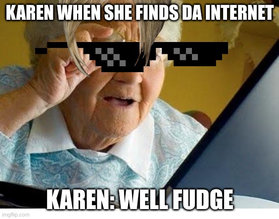 old lady at computer | KAREN WHEN SHE FINDS DA INTERNET; KAREN: WELL FUDGE | image tagged in old lady at computer | made w/ Imgflip meme maker