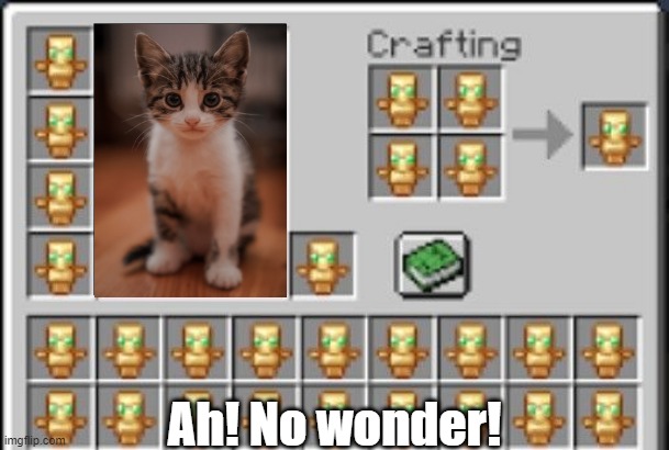 Little wonder1 | Ah! No wonder! | image tagged in totem of undying meme | made w/ Imgflip meme maker