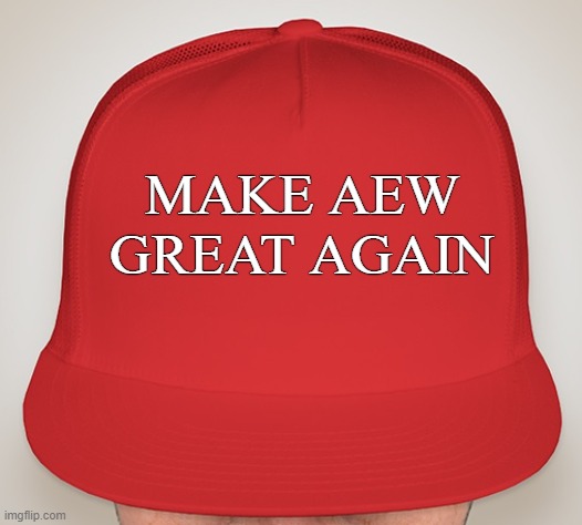 Trump Hat | MAKE AEW GREAT AGAIN | image tagged in trump hat | made w/ Imgflip meme maker