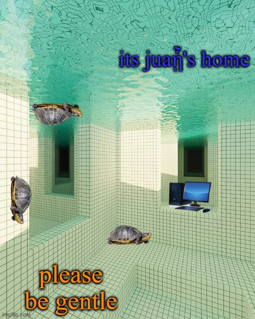 its juaᾗ's home; please be gentle | made w/ Imgflip meme maker