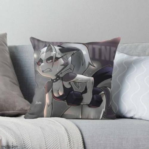 Honey, we're having guests over, use those nice pillows for the couch | made w/ Imgflip meme maker