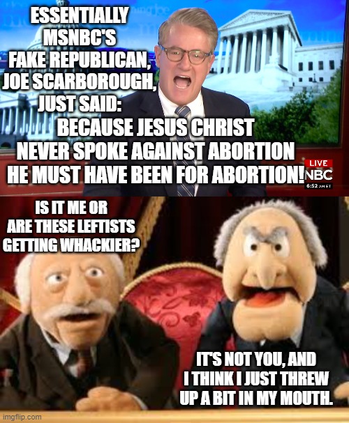 Yes this really is what the insane leftist essentially said. | ESSENTIALLY MSNBC'S FAKE REPUBLICAN, JOE SCARBOROUGH, JUST SAID:; BECAUSE JESUS CHRIST NEVER SPOKE AGAINST ABORTION HE MUST HAVE BEEN FOR ABORTION! IS IT ME OR ARE THESE LEFTISTS GETTING WHACKIER? IT'S NOT YOU, AND I THINK I JUST THREW UP A BIT IN MY MOUTH. | image tagged in insanity | made w/ Imgflip meme maker