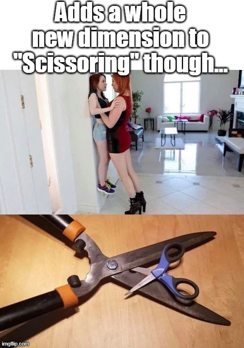 Adds a whole new dimension to "Scissoring" though... | made w/ Imgflip meme maker