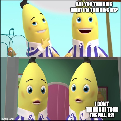 Are you thinking what I'm thinking B1? | ARE YOU THINKING WHAT I'M THINKING B1? I DON'T THINK SHE TOOK THE PILL, B2! | image tagged in b1 b2,bananas | made w/ Imgflip meme maker