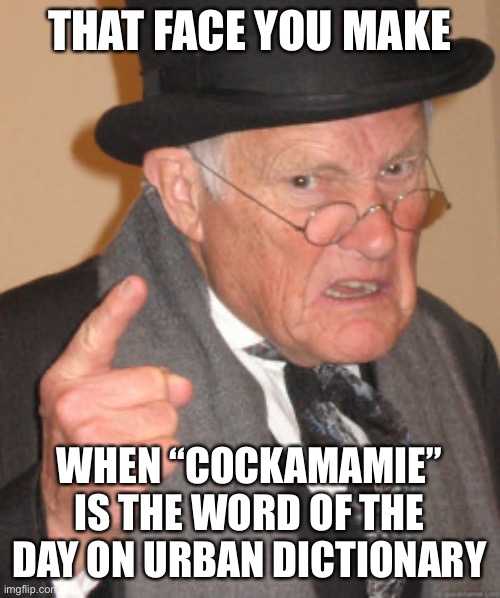 Back In My Day Meme | THAT FACE YOU MAKE; WHEN “COCKAMAMIE” IS THE WORD OF THE DAY ON URBAN DICTIONARY | image tagged in memes,back in my day | made w/ Imgflip meme maker