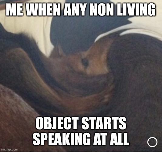Twisty Pup | ME WHEN ANY NON LIVING; OBJECT STARTS SPEAKING AT ALL | image tagged in twisty pup | made w/ Imgflip meme maker