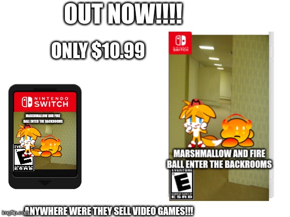 OUT NOW | OUT NOW!!!! ONLY $10.99; MARSHMALLOW AND FIRE BALL ENTER THE BACKROOMS; ANYWHERE WHERE THEY SELL VIDEO GAMES!!! | image tagged in nintendo switch,bootleg,oc,good memes,check out,buy | made w/ Imgflip meme maker