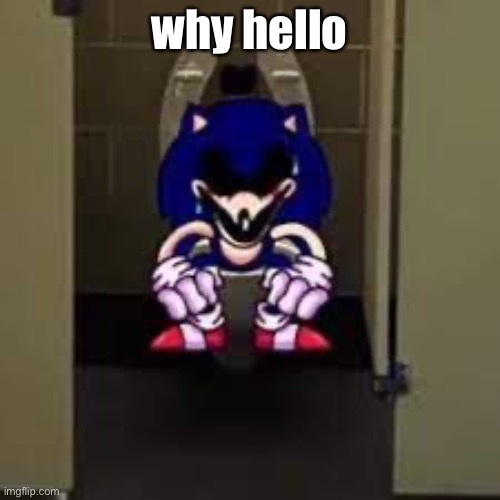 why hello | image tagged in sonic exe taking a dump | made w/ Imgflip meme maker