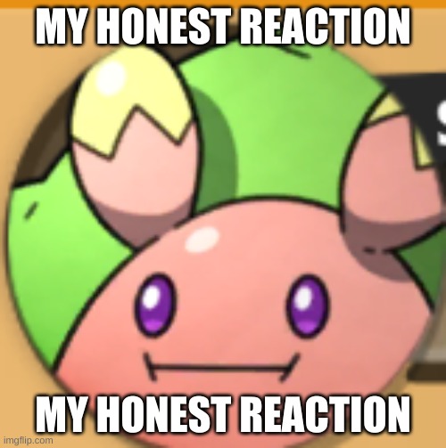 My honest reaction | MY HONEST REACTION; MY HONEST REACTION | image tagged in mfw,my reaction to that information,smh,snush,my honest reaction,nexomon extinction | made w/ Imgflip meme maker