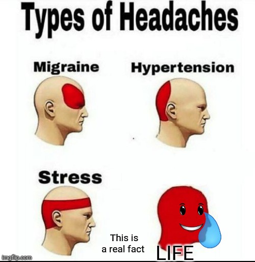 Types of Headaches meme | This is a real fact; LIFE | image tagged in types of headaches meme | made w/ Imgflip meme maker
