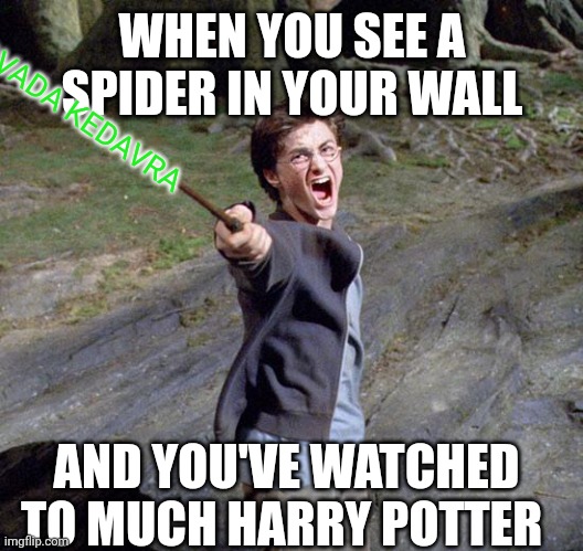 Spiders for Potterheads |  WHEN YOU SEE A SPIDER IN YOUR WALL; AVADA KEDAVRA; AND YOU'VE WATCHED TO MUCH HARRY POTTER | image tagged in harry potter,spiders,killing,spider,harry potter meme | made w/ Imgflip meme maker