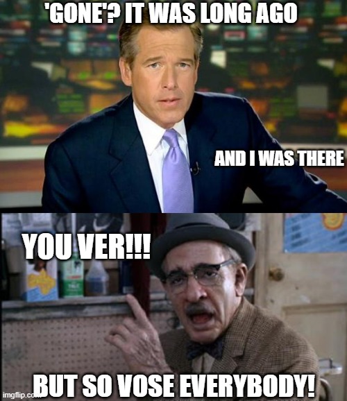 'GONE'? IT WAS LONG AGO AND I WAS THERE YOU VER!!! BUT SO VOSE EVERYBODY! | image tagged in memes,brian williams was there,ah haaaa | made w/ Imgflip meme maker