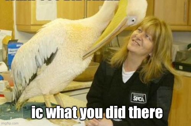 I see what you did there Pelican | ic what you did there | image tagged in i see what you did there pelican | made w/ Imgflip meme maker