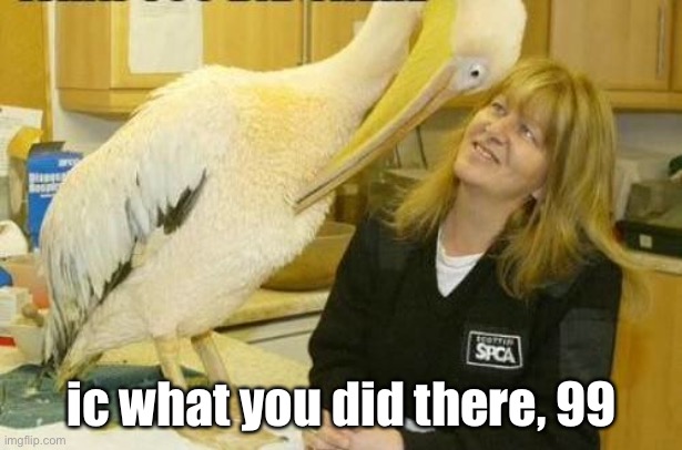 Roman numerals | ic what you did there, 99 | image tagged in i see what you did there pelican,99,99 problems,puns,roman,numbers | made w/ Imgflip meme maker