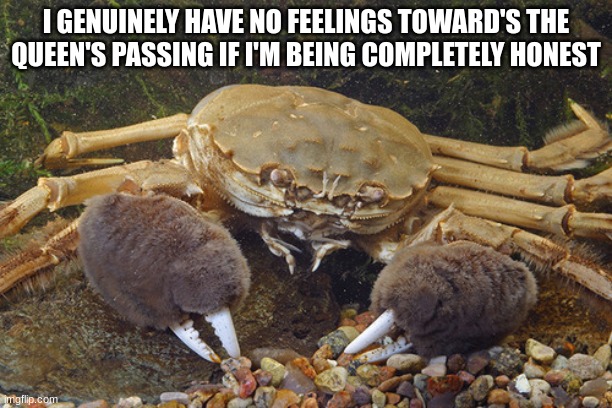 Mitten Crab | I GENUINELY HAVE NO FEELINGS TOWARD'S THE QUEEN'S PASSING IF I'M BEING COMPLETELY HONEST | image tagged in mitten crab | made w/ Imgflip meme maker