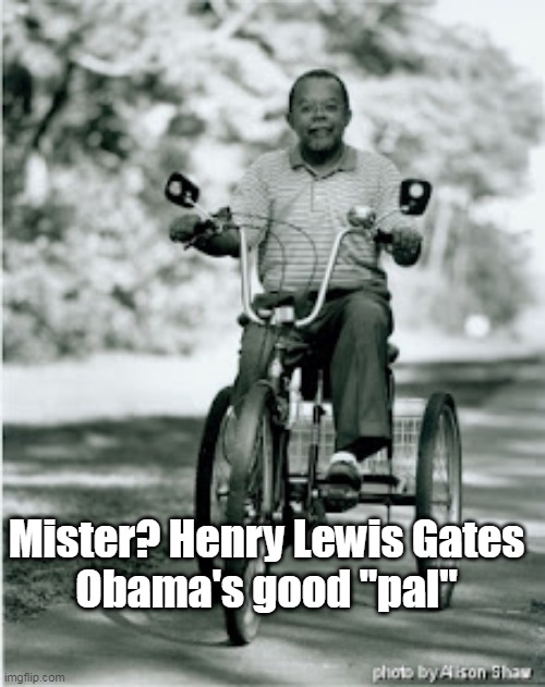 Mister? Henry Lewis Gates
Obama's good "pal" | made w/ Imgflip meme maker