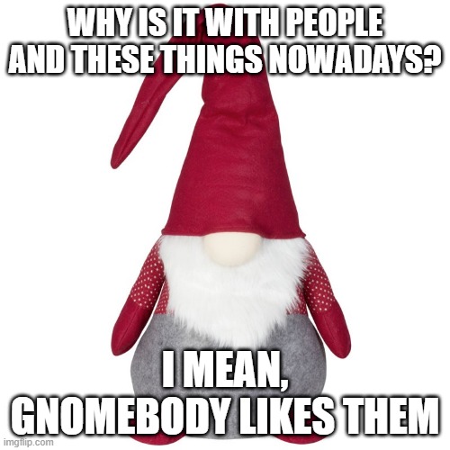 g N O m e |  WHY IS IT WITH PEOPLE AND THESE THINGS NOWADAYS? I MEAN, GNOMEBODY LIKES THEM | image tagged in g n o m e,gnomes,gnome,bad pun,why | made w/ Imgflip meme maker