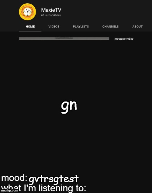 NEW MAXIETV TEMP | gn; gvtrsgtest | image tagged in new maxietv temp | made w/ Imgflip meme maker