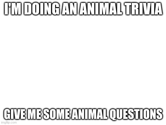 Blank White Template | I'M DOING AN ANIMAL TRIVIA; GIVE ME SOME ANIMAL QUESTIONS | image tagged in blank white template | made w/ Imgflip meme maker