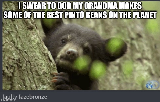 faulty fazebronze | I SWEAR TO GOD MY GRANDMA MAKES SOME OF THE BEST PINTO BEANS ON THE PLANET | image tagged in faulty fazebronze | made w/ Imgflip meme maker